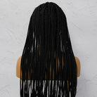 PHOENIX BLACK Braided 26" Lace Front Wig - Milk & Honey